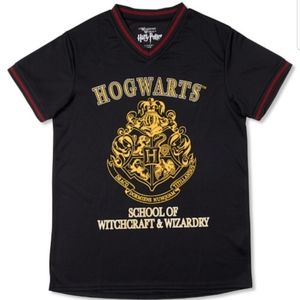 NWT Wizarding World of Harry Potter Hogwarts V-Neck Jersey Shirt - Size Small